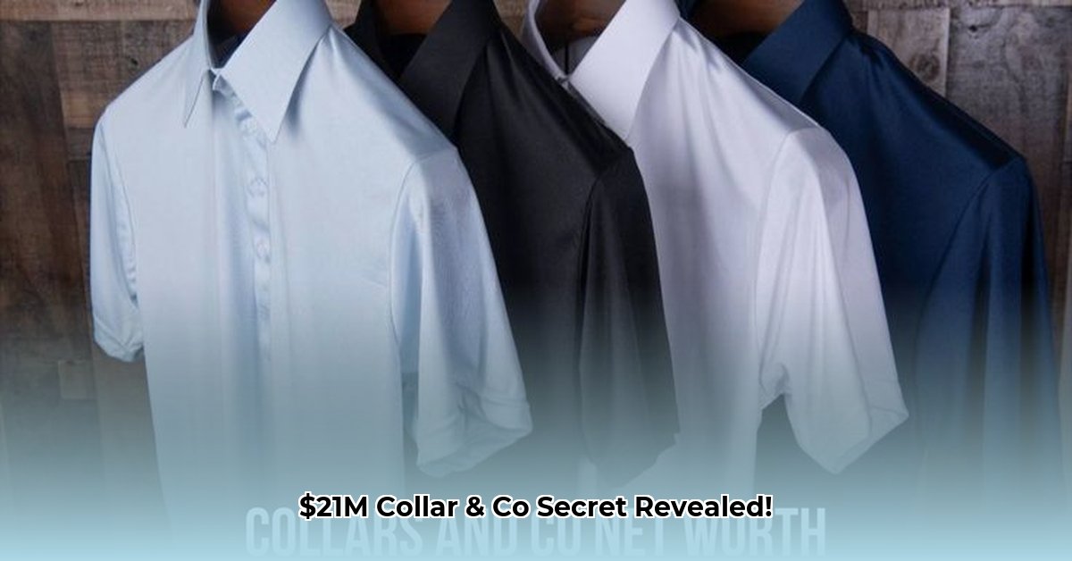 collar-and-co-net-worth